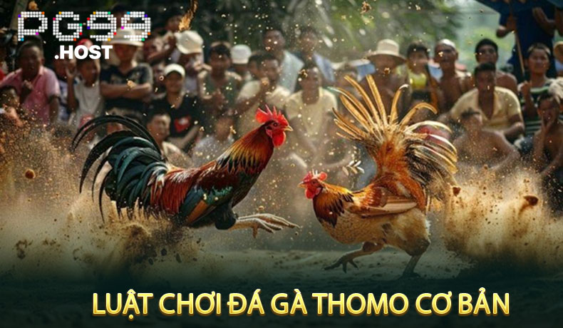Luật Chơi Đá Gà Thomo Cơ Bản